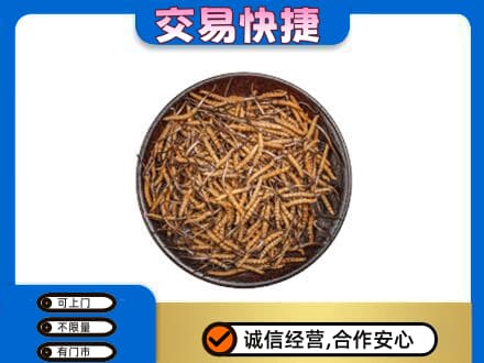 吉安青原区回收散虫草
